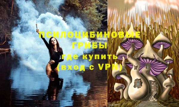 метамфетамин Аркадак