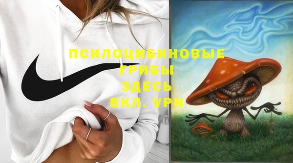 твердый Армянск