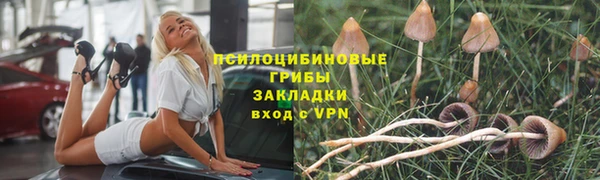 твердый Армянск