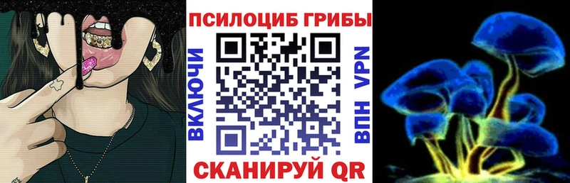 hydra как войти  Первомайск  дарк нет состав  наркота  Галлюциногенные грибы мухоморы 